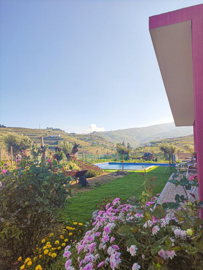 Quinta Dos Padrinhos - Suites In The Heart Of The Douro Lamego Exterior photo
