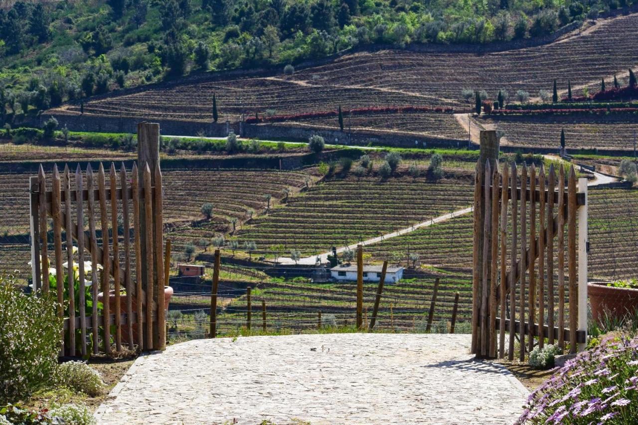 Quinta Dos Padrinhos - Suites In The Heart Of The Douro Lamego Exterior photo
