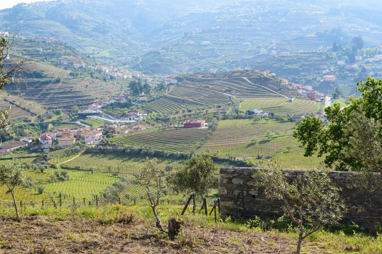 Quinta Dos Padrinhos - Suites In The Heart Of The Douro Lamego Exterior photo