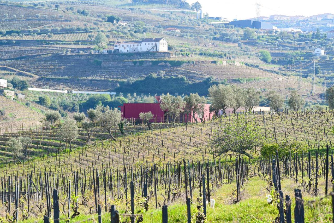 Quinta Dos Padrinhos - Suites In The Heart Of The Douro Lamego Exterior photo