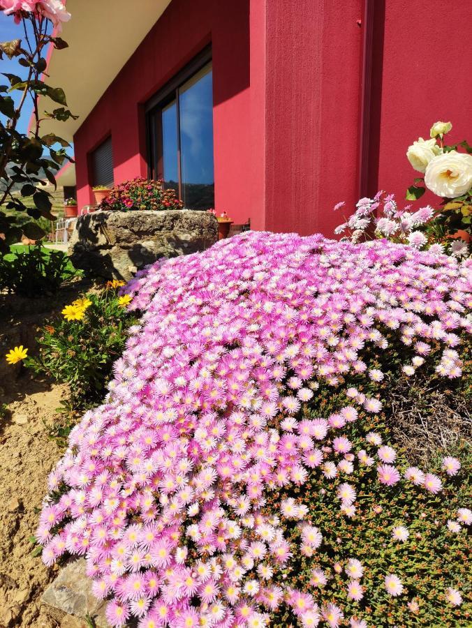 Quinta Dos Padrinhos - Suites In The Heart Of The Douro Lamego Exterior photo