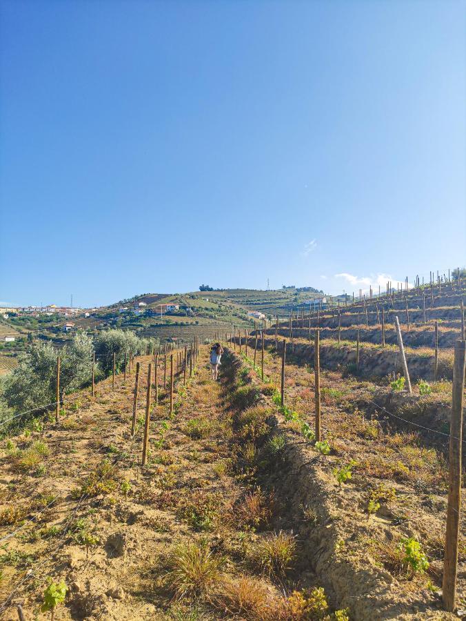 Quinta Dos Padrinhos - Suites In The Heart Of The Douro Lamego Exterior photo