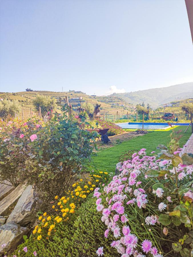 Quinta Dos Padrinhos - Suites In The Heart Of The Douro Lamego Exterior photo