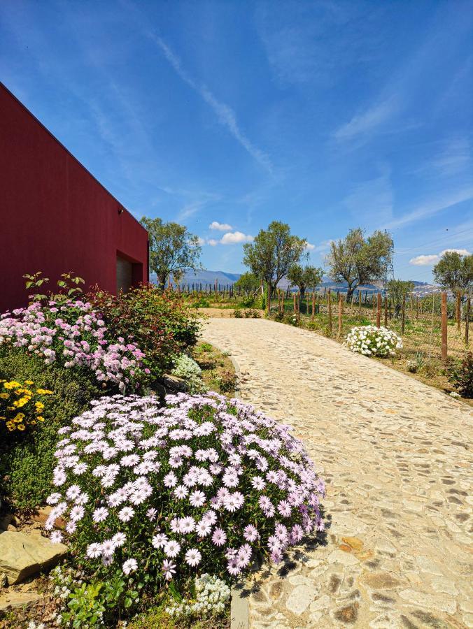 Quinta Dos Padrinhos - Suites In The Heart Of The Douro Lamego Exterior photo