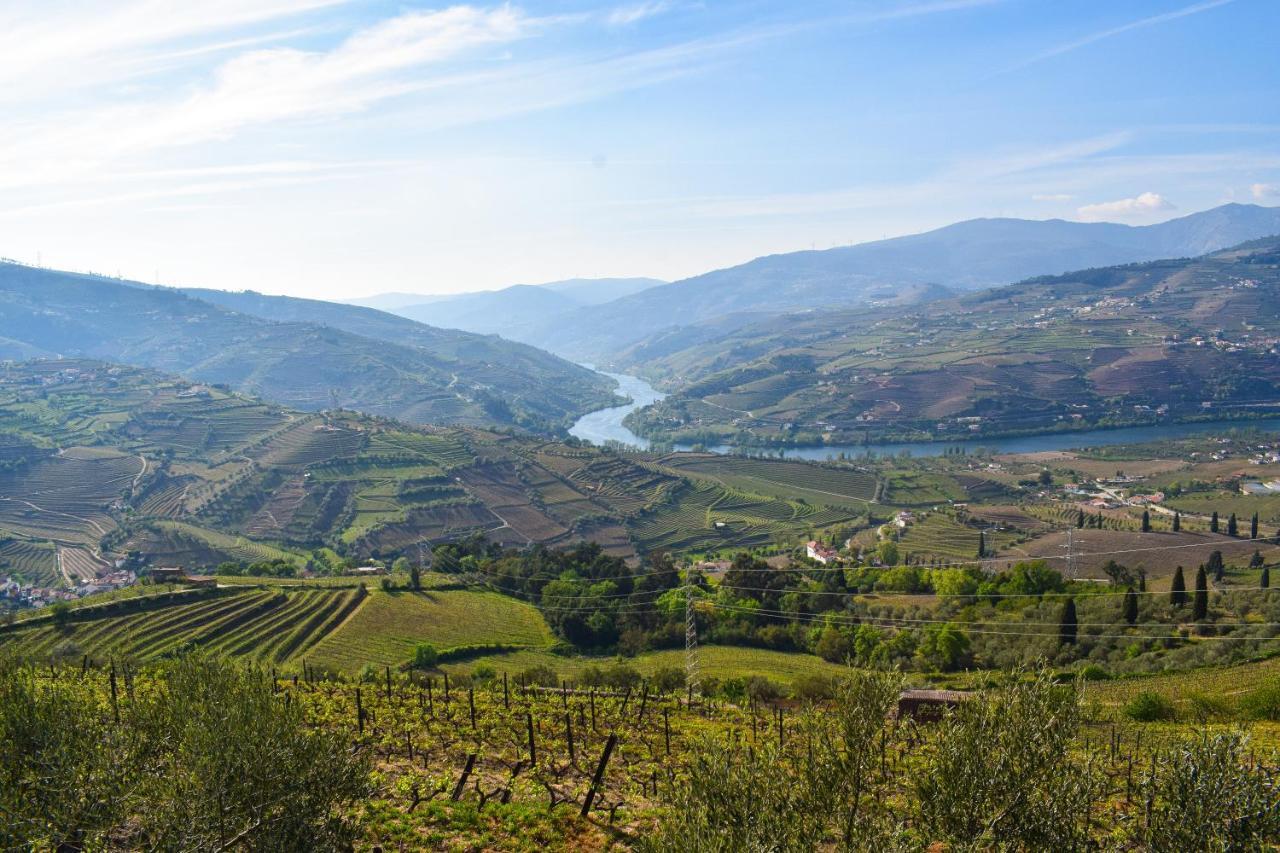 Quinta Dos Padrinhos - Suites In The Heart Of The Douro Lamego Exterior photo