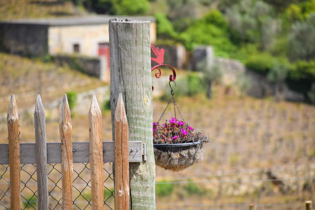 Quinta Dos Padrinhos - Suites In The Heart Of The Douro Lamego Exterior photo
