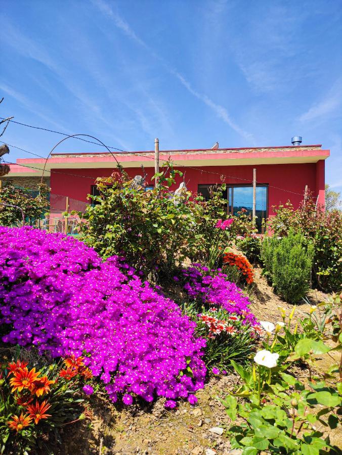 Quinta Dos Padrinhos - Suites In The Heart Of The Douro Lamego Exterior photo