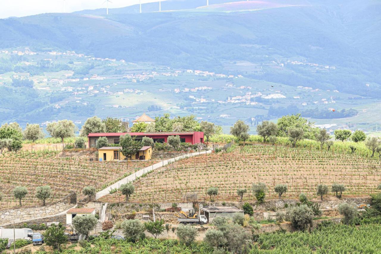 Quinta Dos Padrinhos - Suites In The Heart Of The Douro Lamego Exterior photo