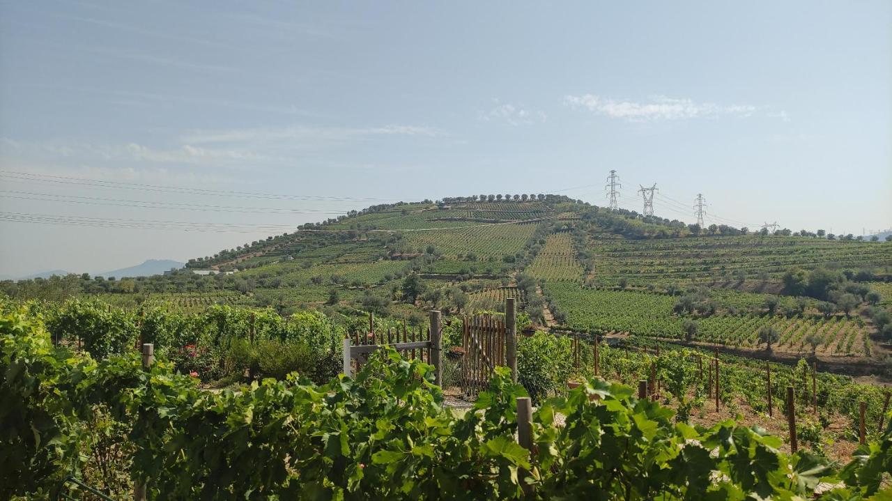 Quinta Dos Padrinhos - Suites In The Heart Of The Douro Lamego Exterior photo