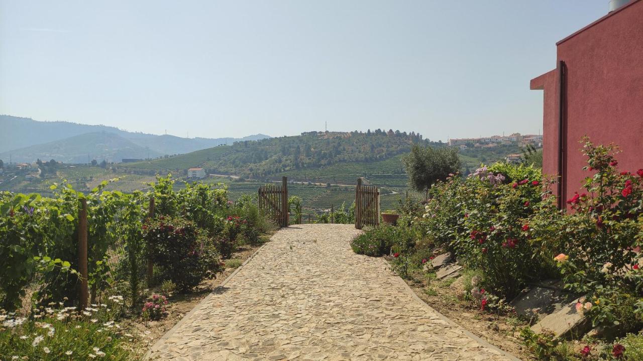 Quinta Dos Padrinhos - Suites In The Heart Of The Douro Lamego Exterior photo