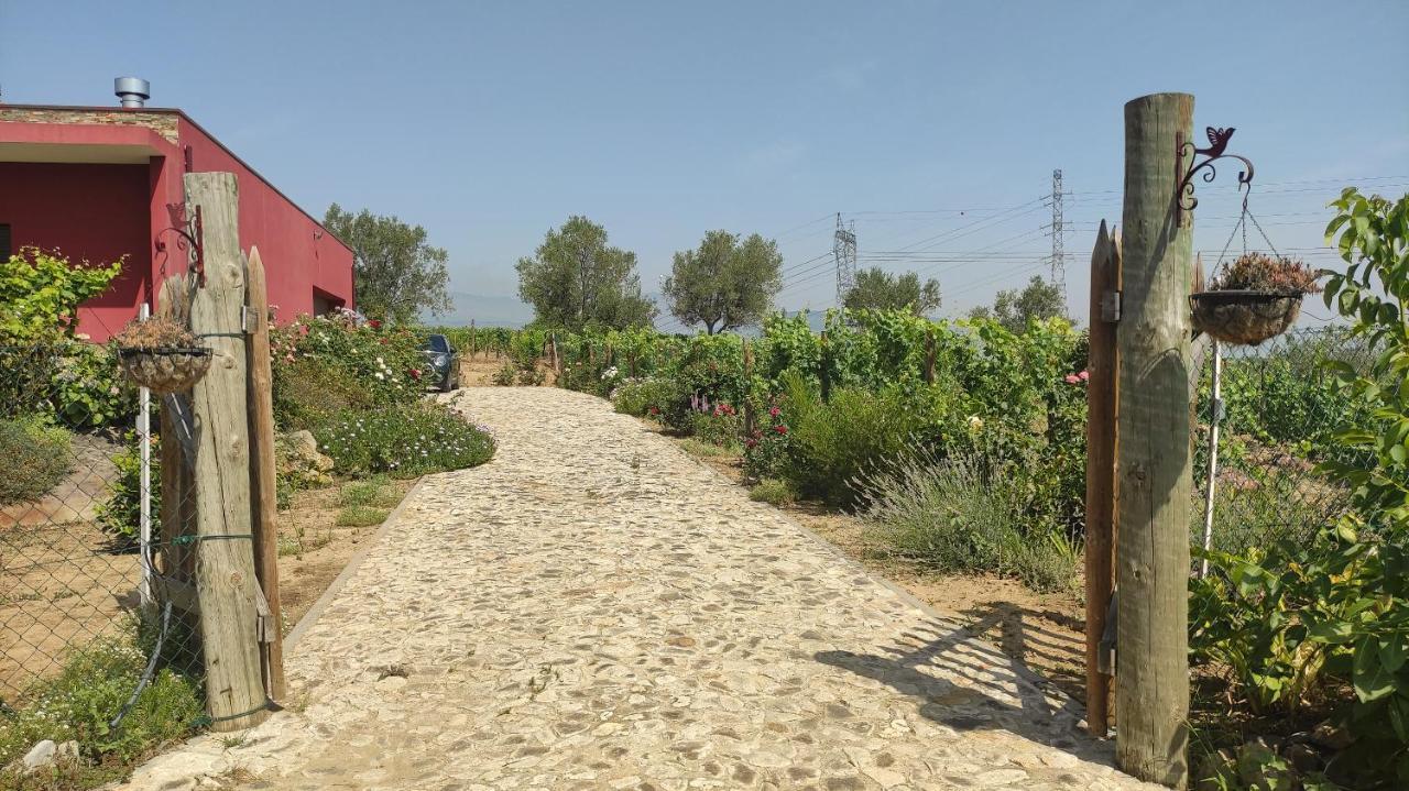 Quinta Dos Padrinhos - Suites In The Heart Of The Douro Lamego Exterior photo