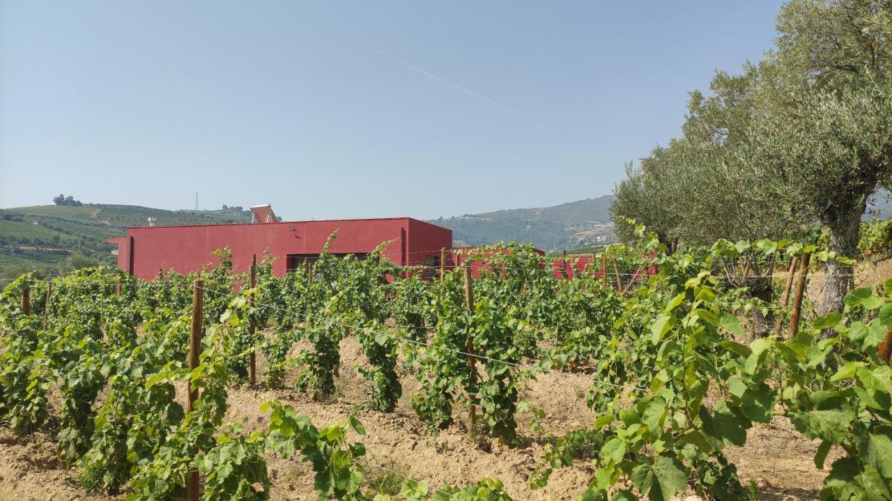 Quinta Dos Padrinhos - Suites In The Heart Of The Douro Lamego Exterior photo