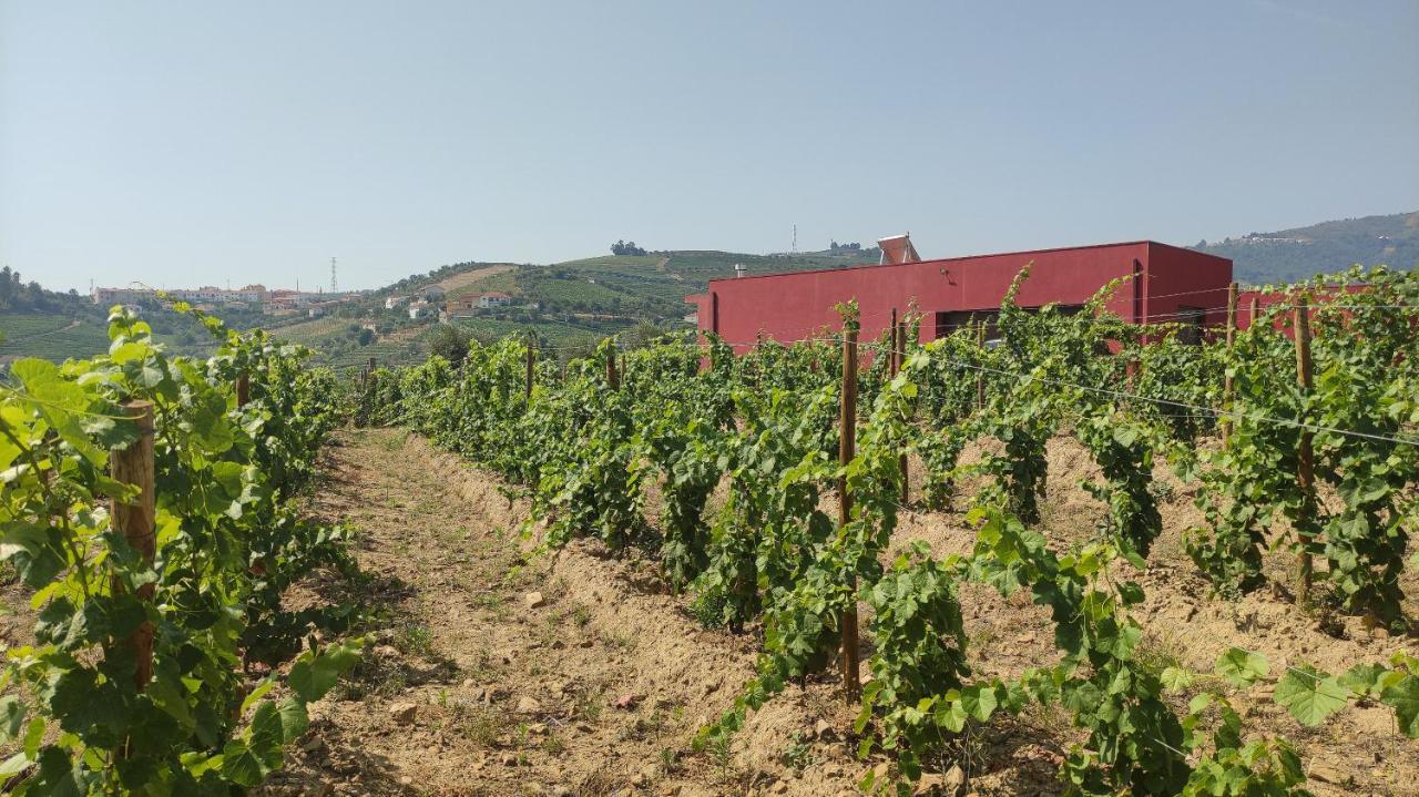 Quinta Dos Padrinhos - Suites In The Heart Of The Douro Lamego Exterior photo
