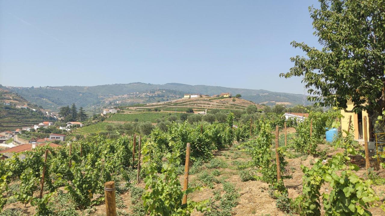 Quinta Dos Padrinhos - Suites In The Heart Of The Douro Lamego Exterior photo