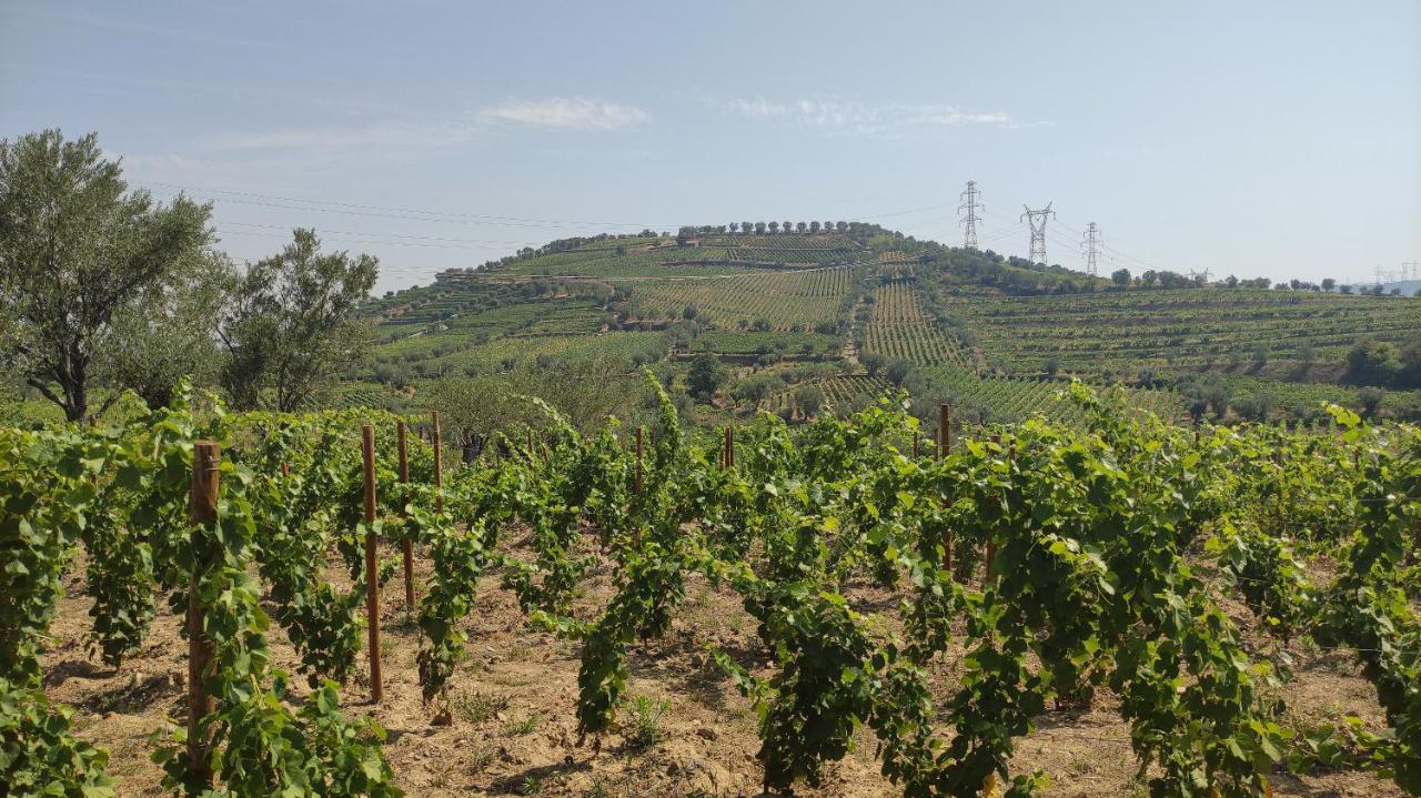 Quinta Dos Padrinhos - Suites In The Heart Of The Douro Lamego Exterior photo