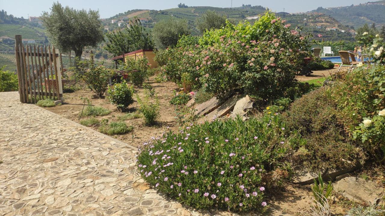 Quinta Dos Padrinhos - Suites In The Heart Of The Douro Lamego Exterior photo