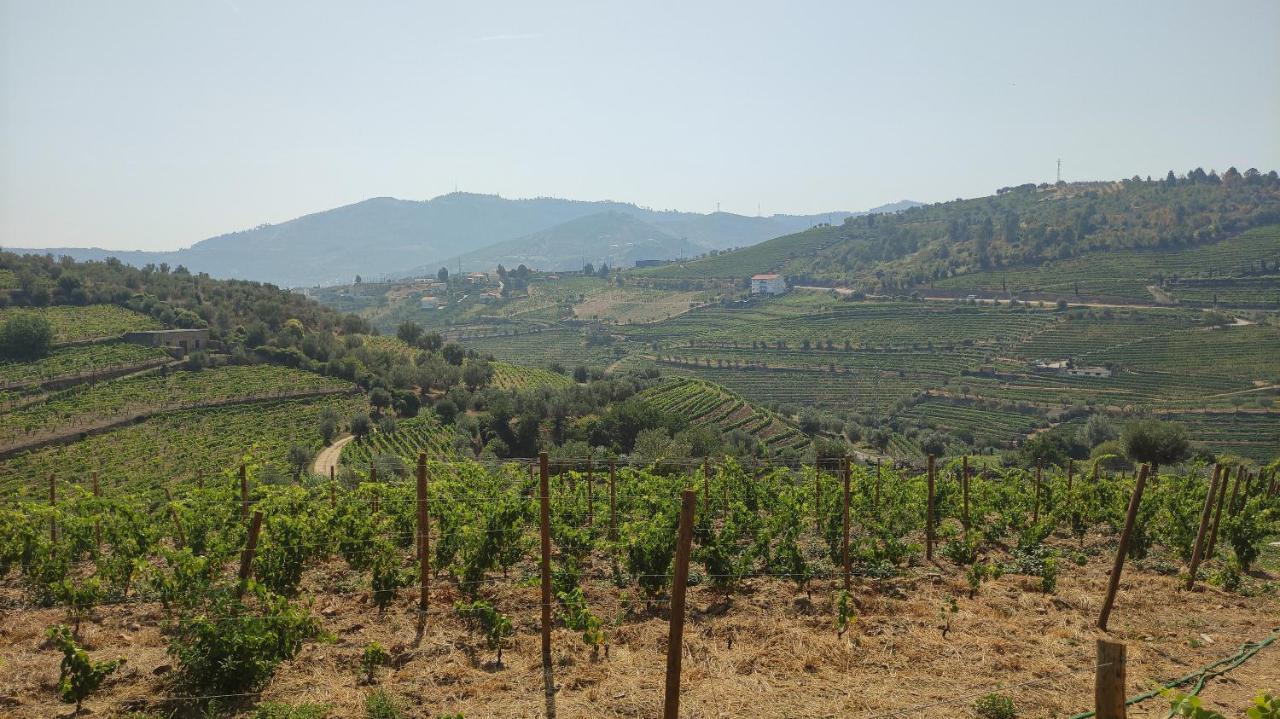 Quinta Dos Padrinhos - Suites In The Heart Of The Douro Lamego Exterior photo