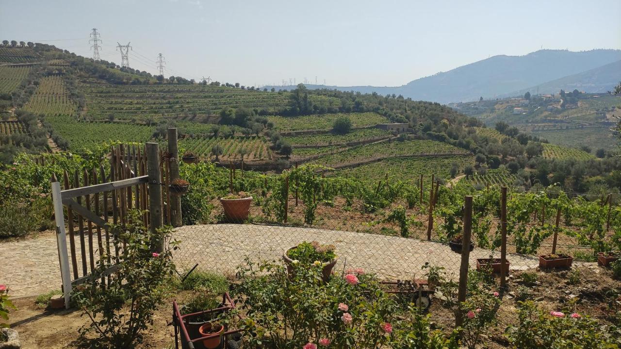 Quinta Dos Padrinhos - Suites In The Heart Of The Douro Lamego Exterior photo